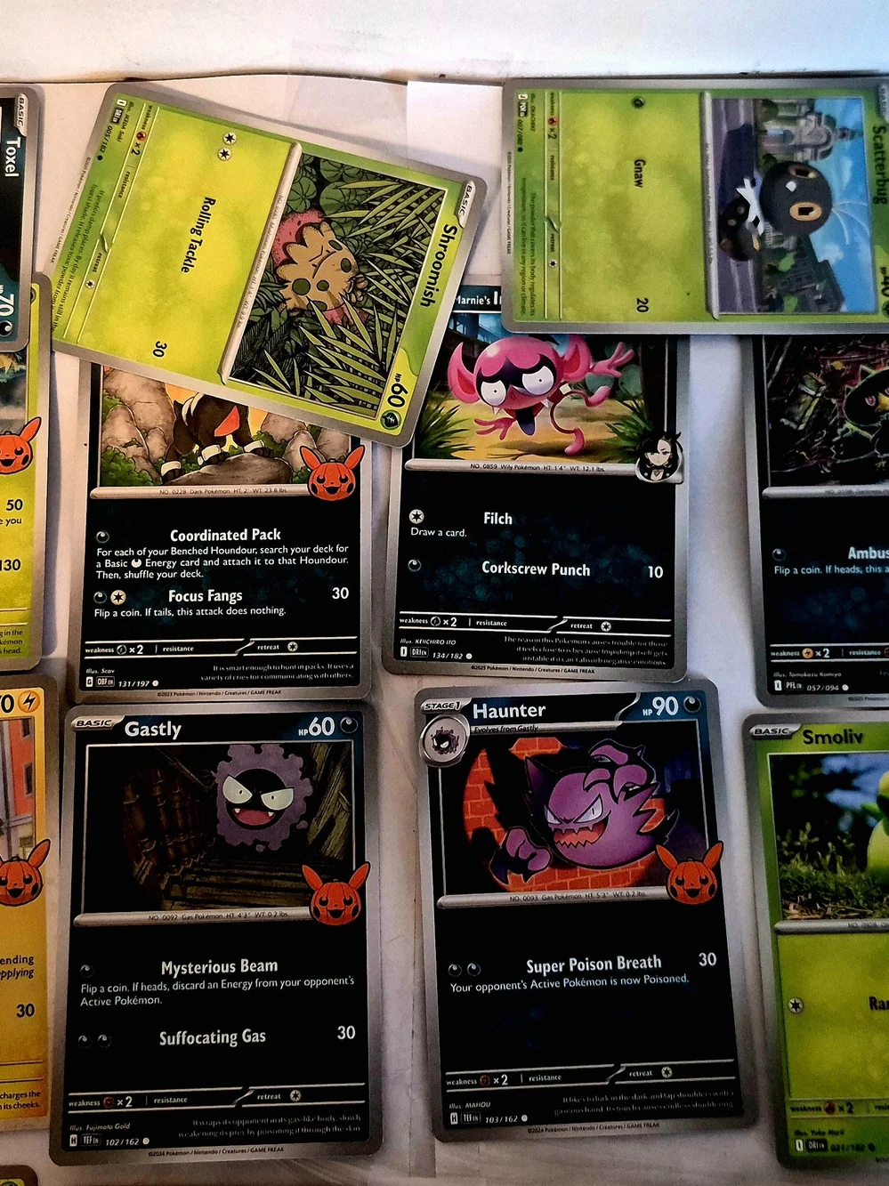 Pokémon mega kangaskhan